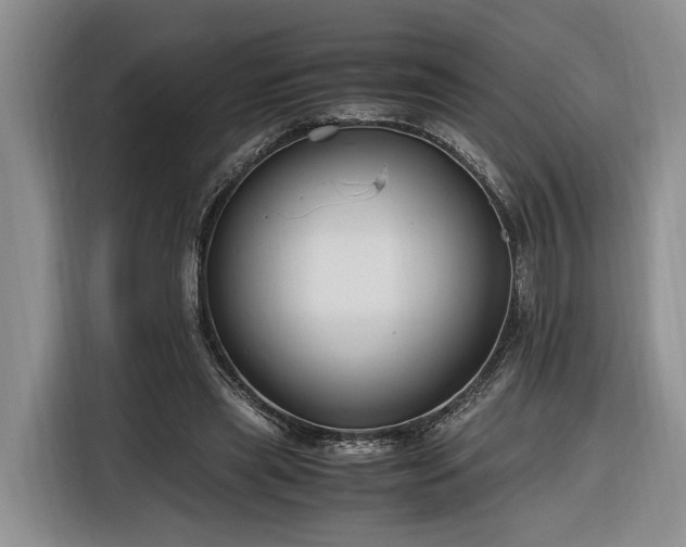 X0000116260445200912071025