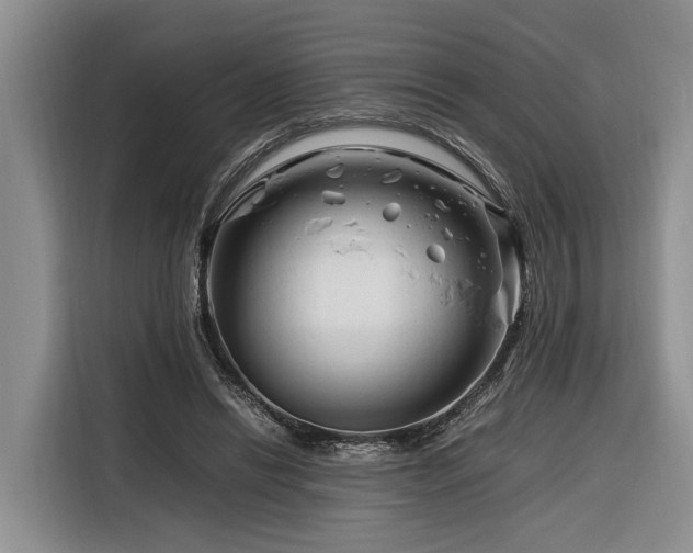 X0000116260446200912071025