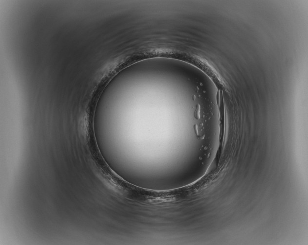 X0000116260447200912071025