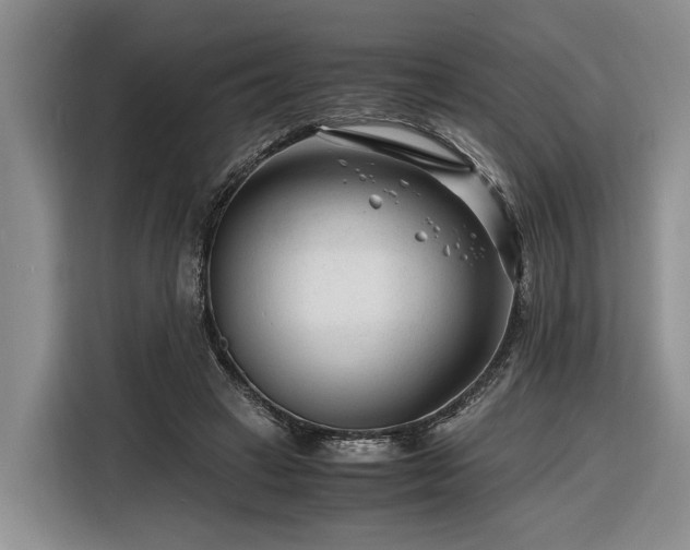 X0000116260449200912071025