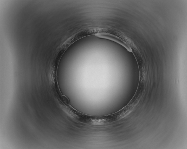 X0000116260450200912071025