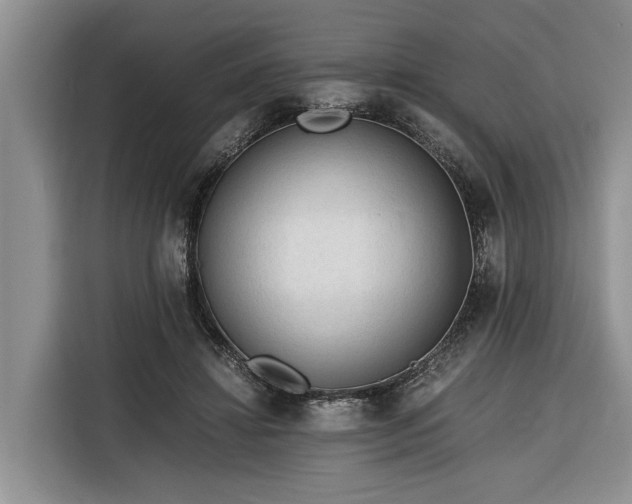X0000116260452200912071025