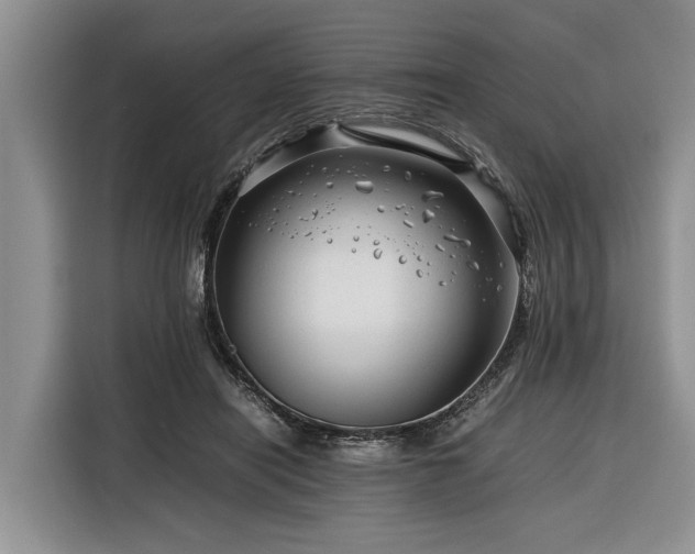 X0000116260454200912071026