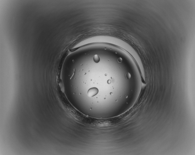 X0000116260456200912071026