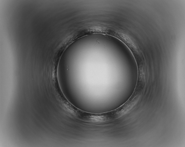 X0000116260457200912071026
