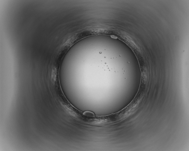X0000116260458200912071026