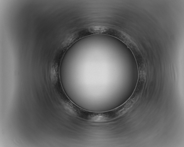 X0000116260460200912071026