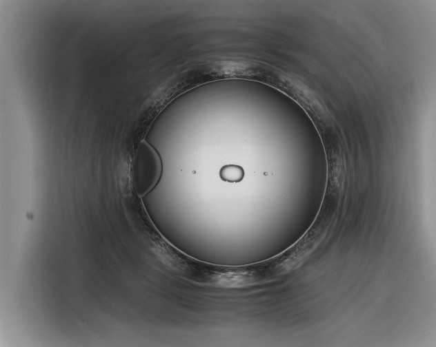 X0000116260461200912071026