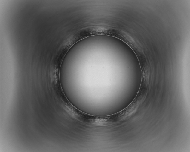 X0000116260462200912071026