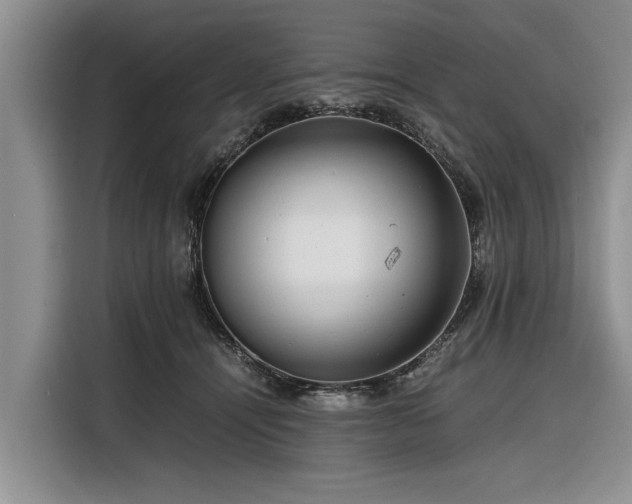 X0000116260464200912071026