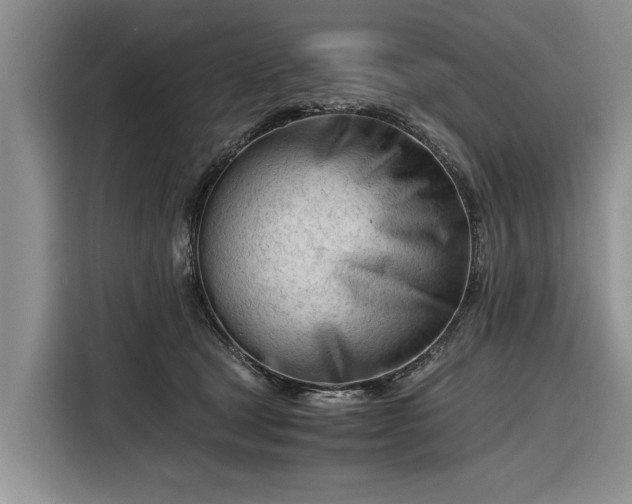 X0000116260465200912071026