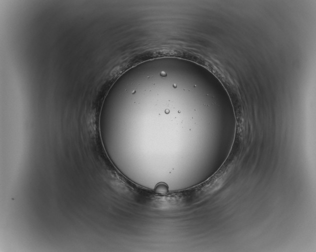 X0000116260466200912071026