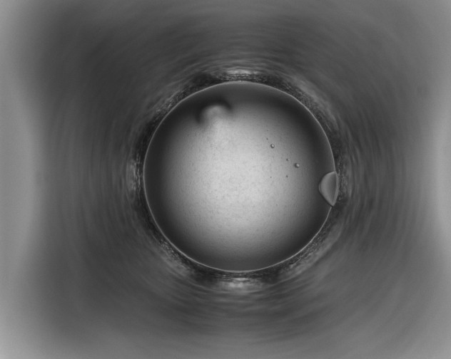 X0000116260467200912071026