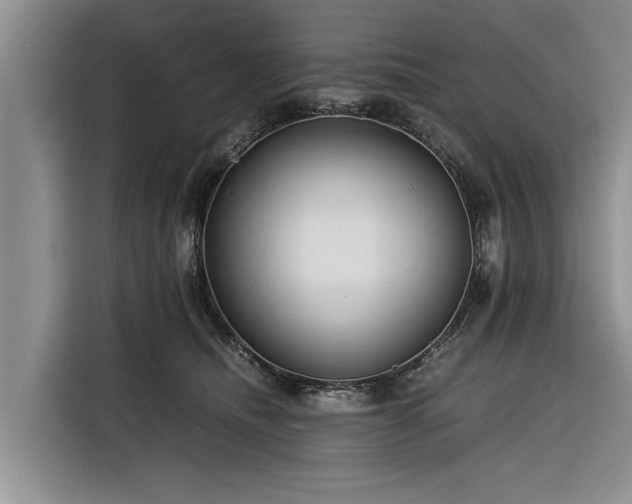 X0000116260468200912071026