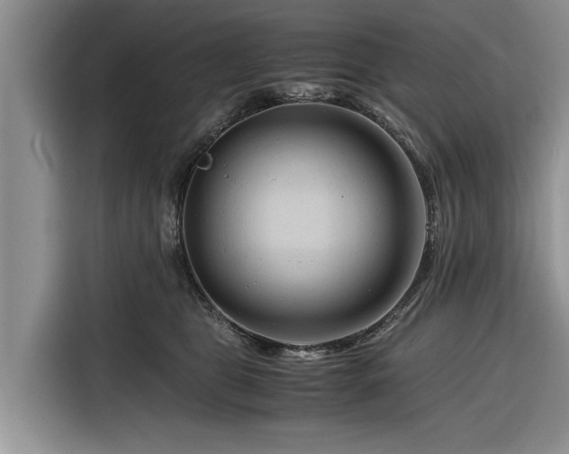 X0000116260469200912071026