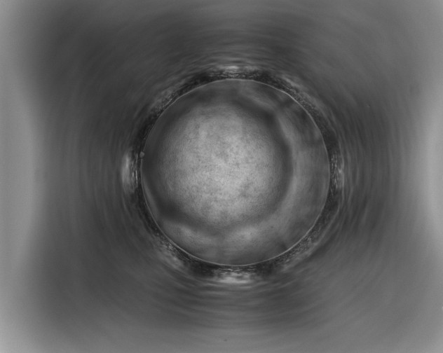 X0000116260471200912071026