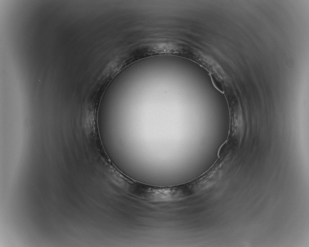 X0000116260473200912071026