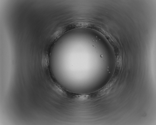 X0000116260474200912071026