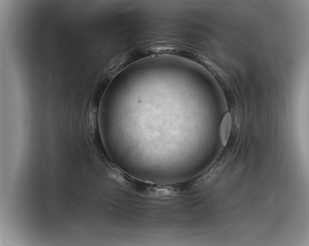 X0000116260475200912071026
