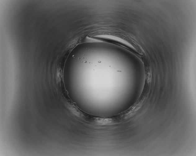X0000116260476200912071026