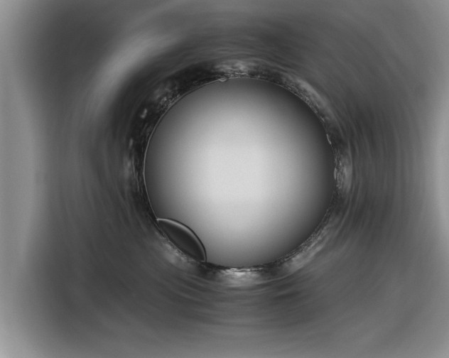 X0000116260477200912071026