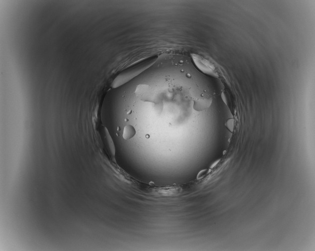 X0000116260479200912071026