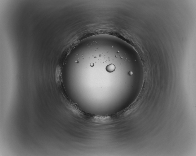 X0000116260480200912071026