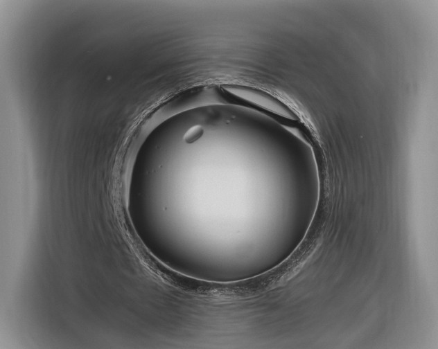 X0000116260481200912071025
