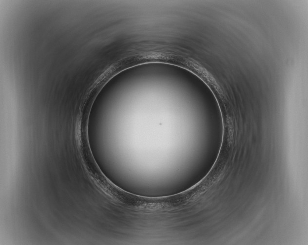 X0000116260482200912071025