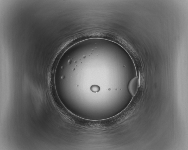 X0000116260483200912071025