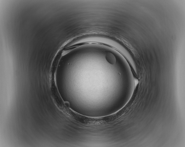 X0000116260488200912071025