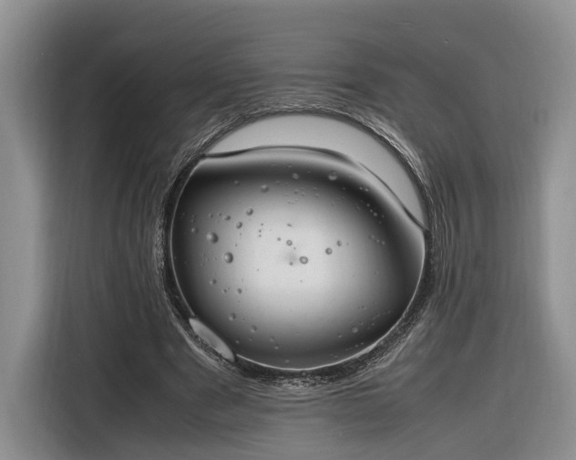 X0000116260489200912071025