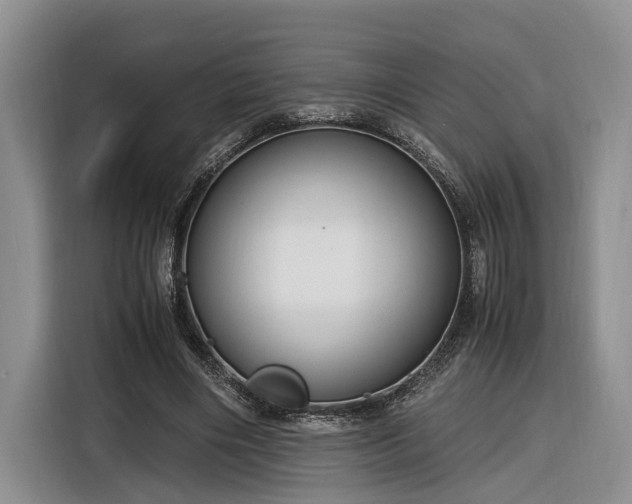 X0000116260490200912071025