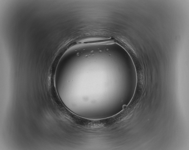 X0000116260491200912071025