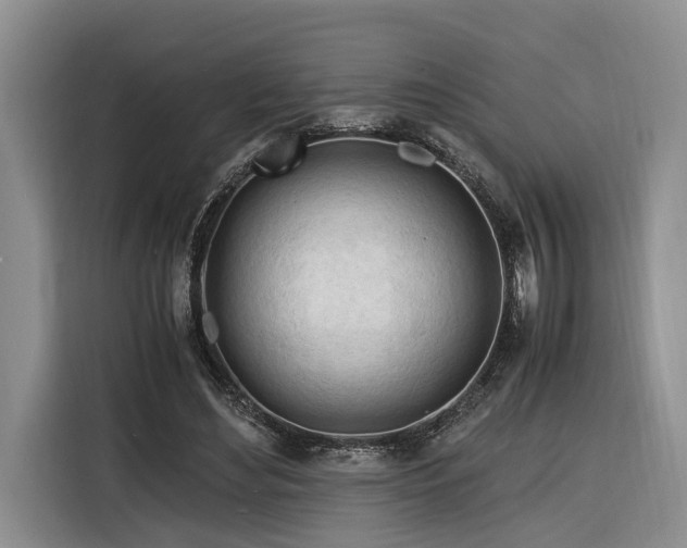 X0000116260492200912071025