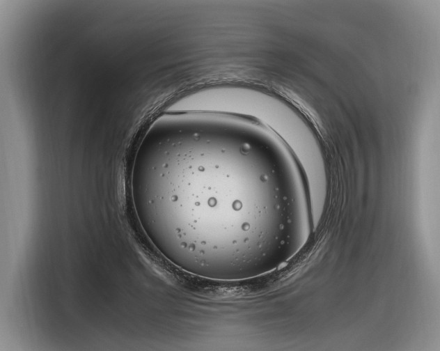 X0000116260493200912071025