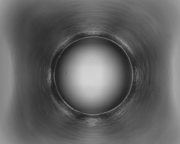X0000116260494200912071025