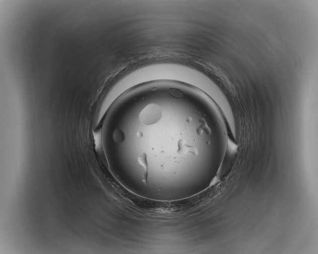X0000116260496200912071025