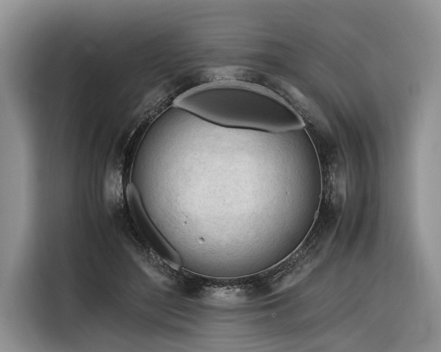 X0000116260500200912071025