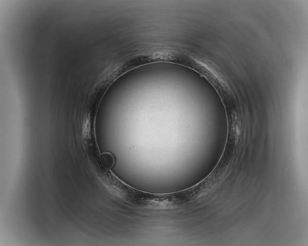 X0000116260502200912071025