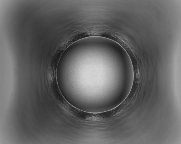 X0000116260503200912071025