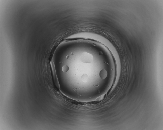 X0000116260504200912071025