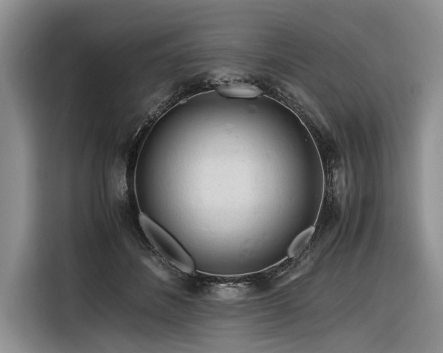 X0000116260508200912071025