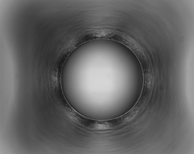 X0000116260510200912071025