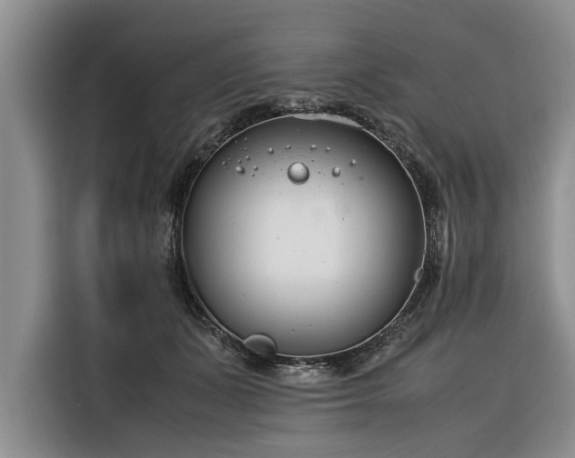 X0000116260511200912071025