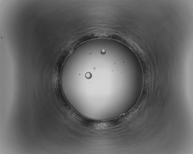 X0000116260513200912071025