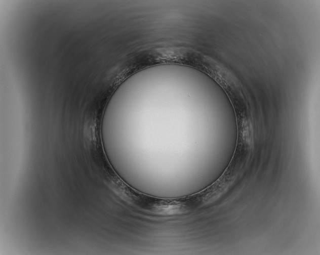 X0000116260514200912071025
