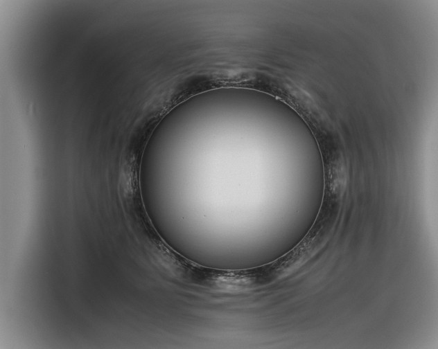 X0000116260515200912071025