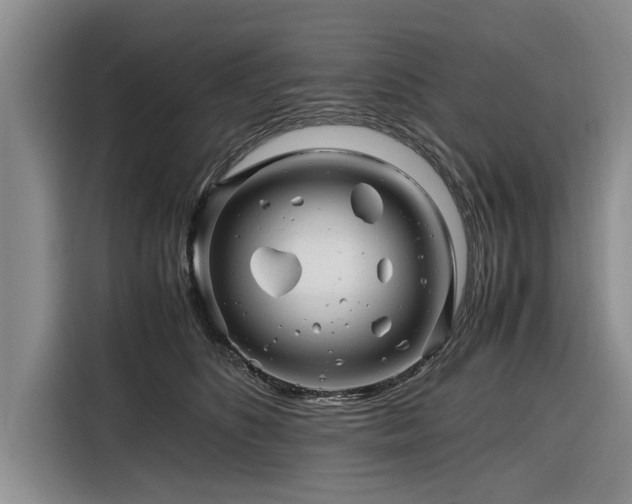 X0000116260516200912071025