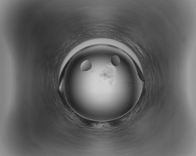 X0000116260517200912071025